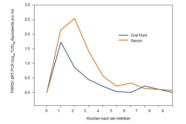 Serum und Oral Fluids PRRSV qRT-PCR Ergebnisse