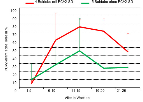 % der virämischen Tiere durch PCV2