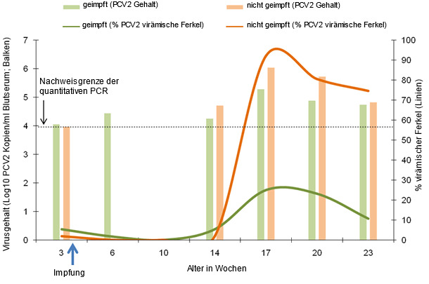 Vergleichende Grafik zu den Veränderungen des Prozentsatzes virämischer Ferkel und dem durchschnittlichen Virusgehalt in den virämischen Ferkeln